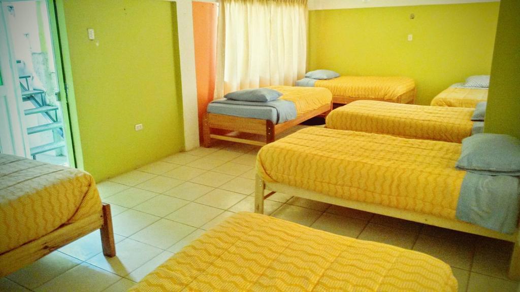 The Grasshopper Hostel Cusco Luaran gambar
